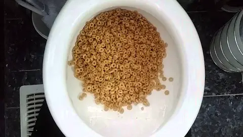 Can You Flush Cereal Down The Toilet