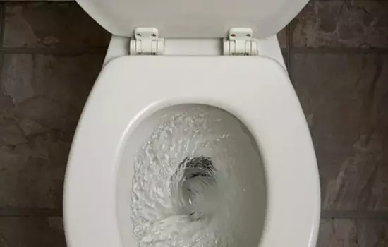 Can You Flush Spoiled Milk Down The Toilet