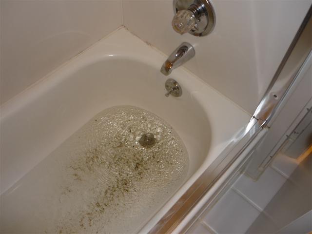 Why Is Sewage Coming Out Of The Bathtub
