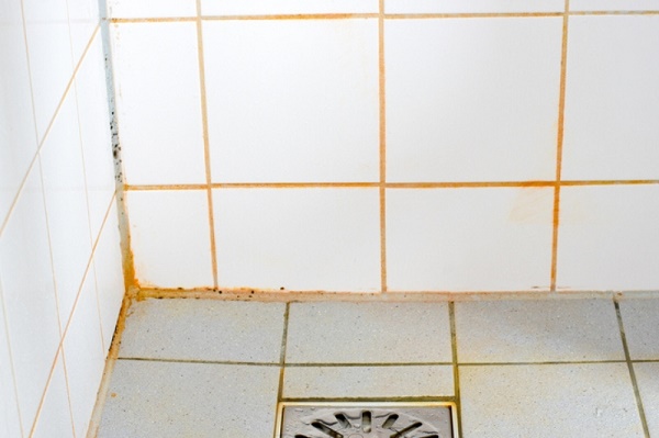 How To Get Rid Of Orange Mold In Bathroom