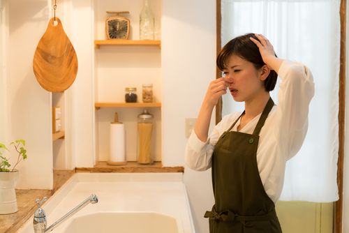 How To Get Rid Of Egg Smell In Bathroom