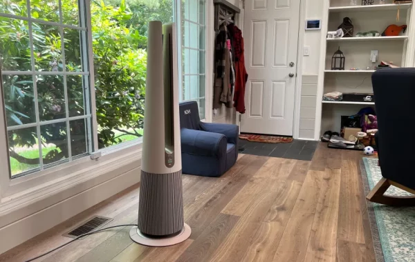 How Many Air Purifiers Should You Have In Your Home