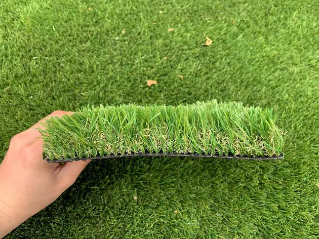 Does Artificial Grass Attract Ants